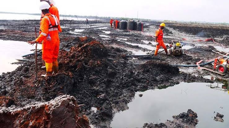 HYPREP Restores Five Polluted Ogoni Land Sites.