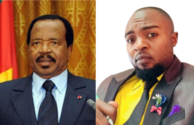 Safety Industry: Cameroonian Expert Applauds Country’s Govt, Demands Lawmakers’ Intervention