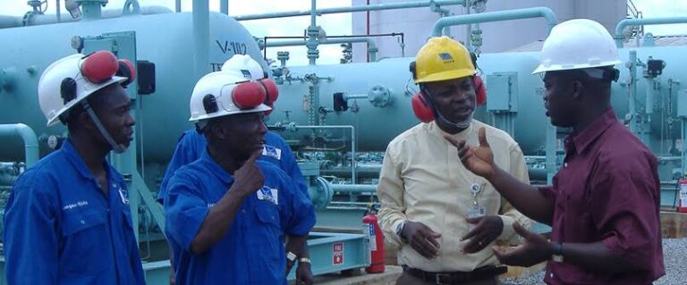 Five essential duty of HSE Professional to safety industry