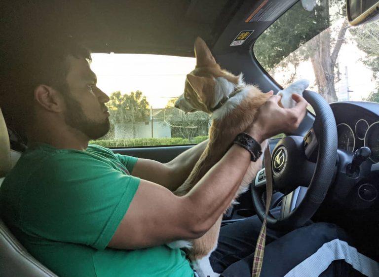 Ways to monitor a distracted driver for good follow-up