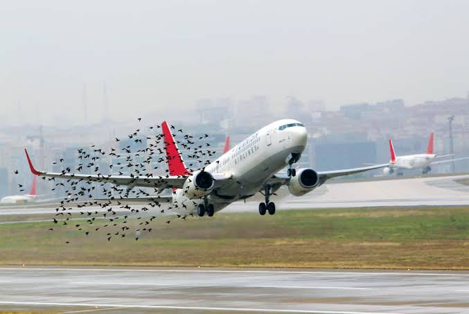 Element to consider in checking risk and hazard in aviation