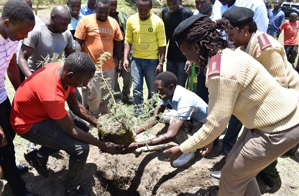 Nakuru County to plant 10 million trees by 2025