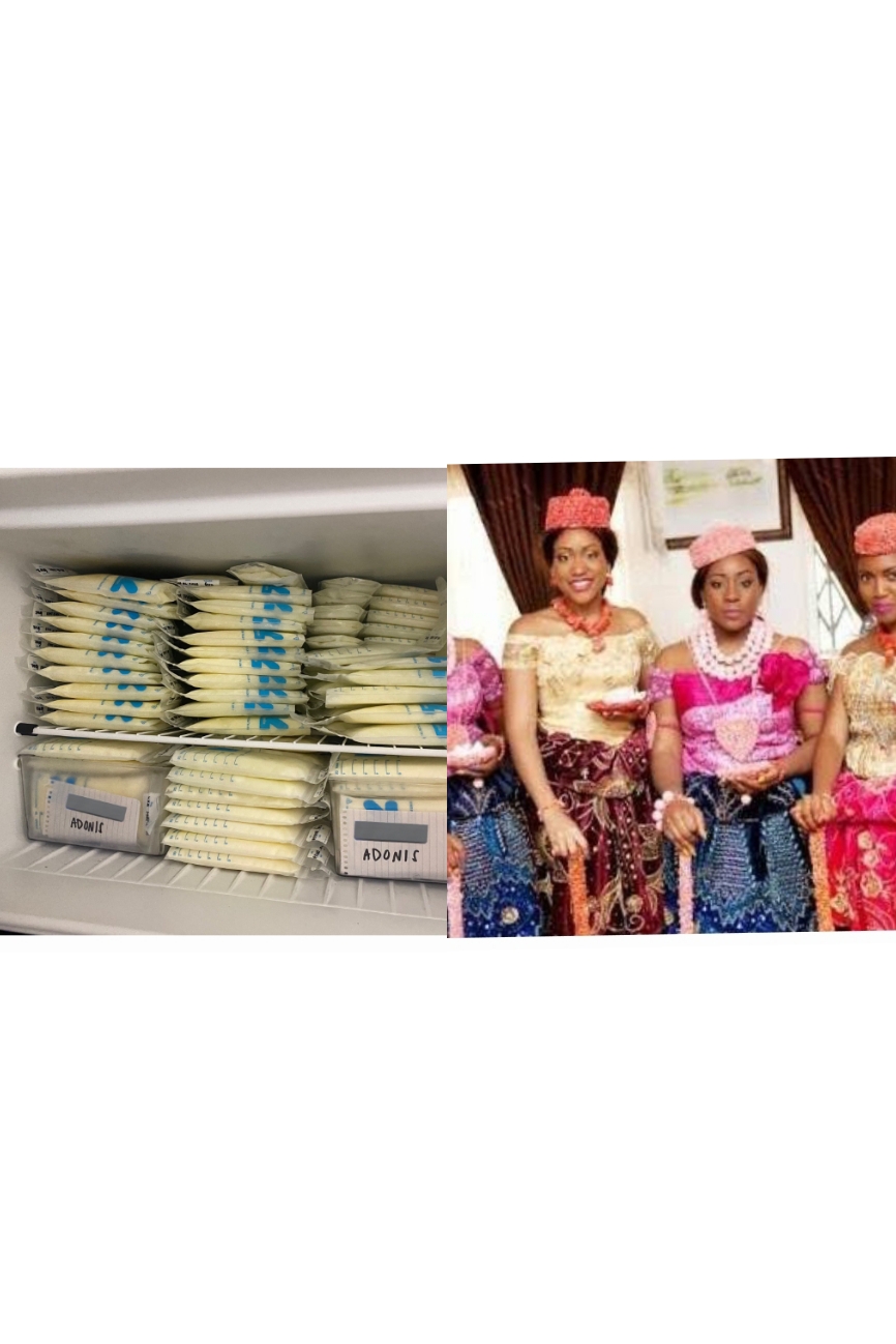 Bayelsa women’s breast milk at risk of high toxic metal: Researchers 