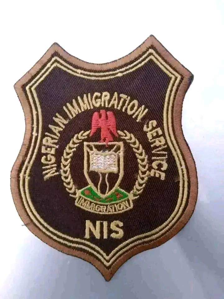 Nigerian Female Immigration Operatives raises alarm over workplace abuse