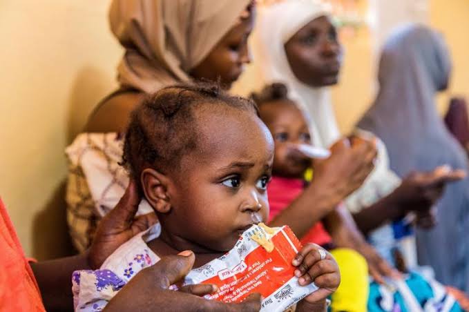 Africa: The Burden of Maternal and Child Undernutrition