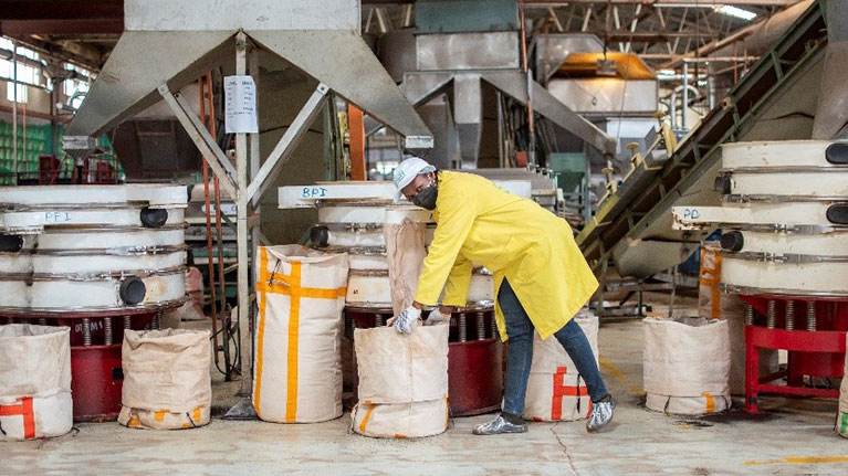 ILO and Eni Collaborate for Farm Workers’ Safety and Health in Agribusiness