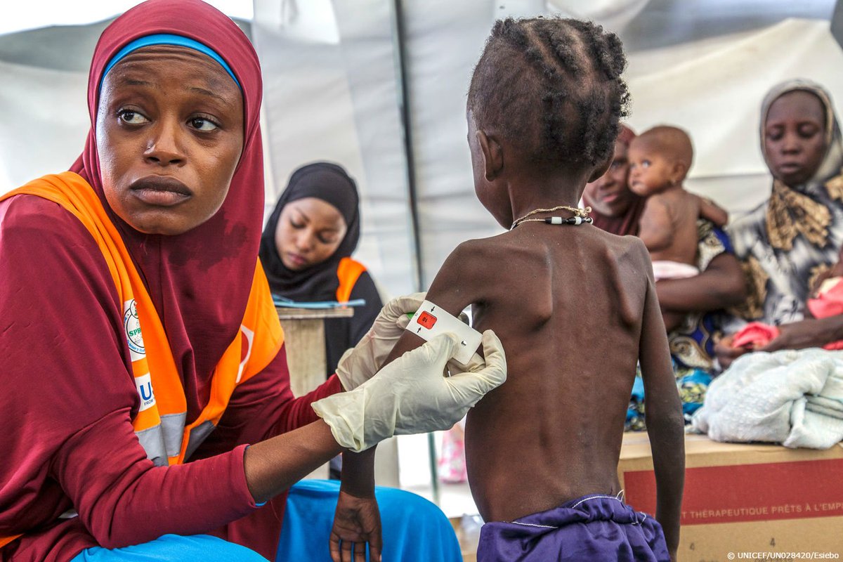 From Crisis to Care: Addressing Health Needs Amidst Insecurity