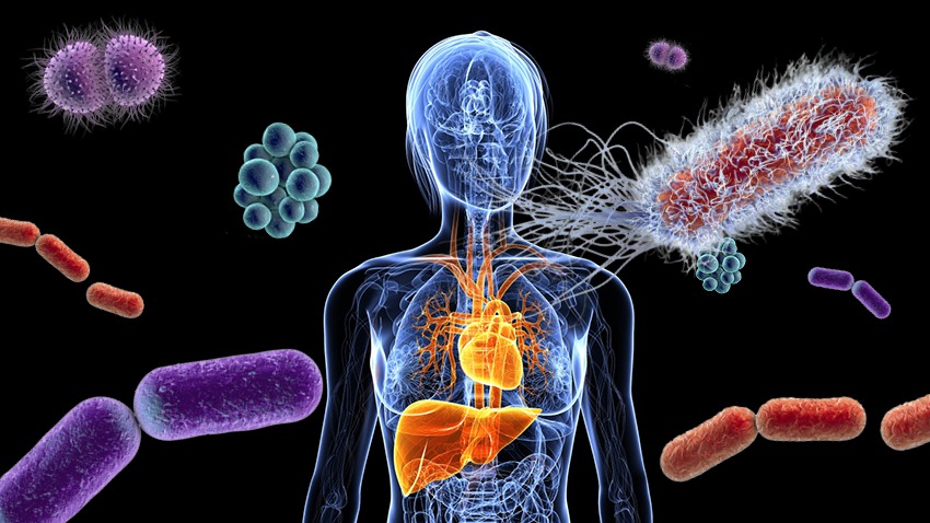 The Hidden Language Your Body Speaks: How Microbiome Health Impacts Your Body