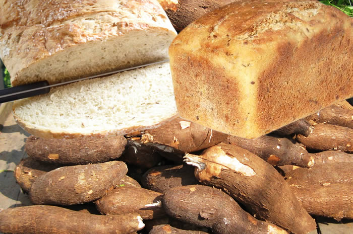 Cassava Bread: A Healthy and Budget-Friendly Alternative in Nigeria?