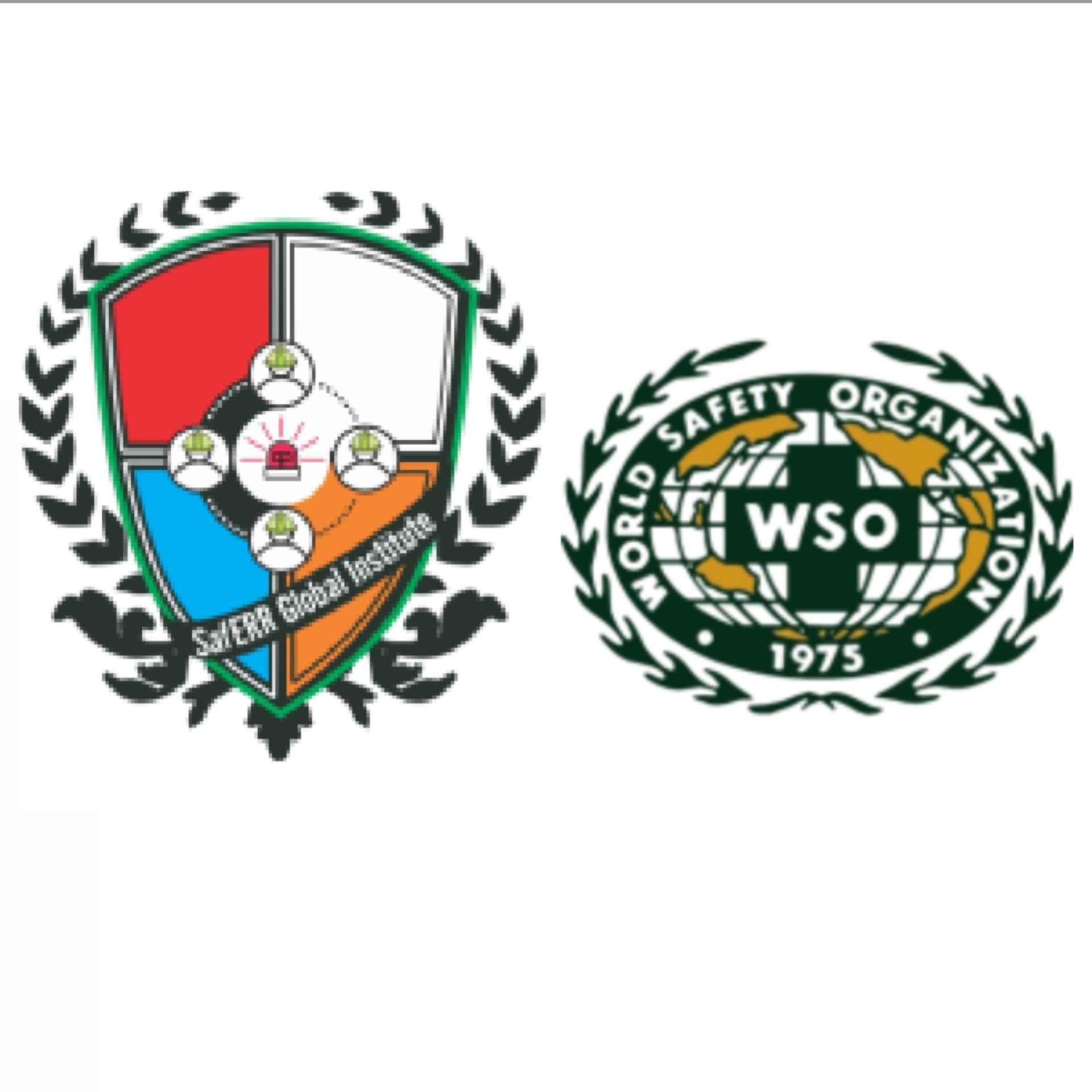 WSO, SafERR Institute Address CNG-Vehicle Explosion in Edo, Call for Stricter Safety Compliance