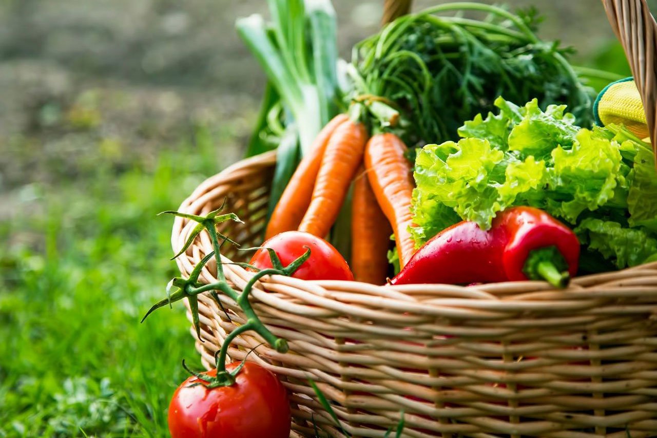 Your ‘Organic’ Vegetables Might Need Extra Washing—Here’s Why