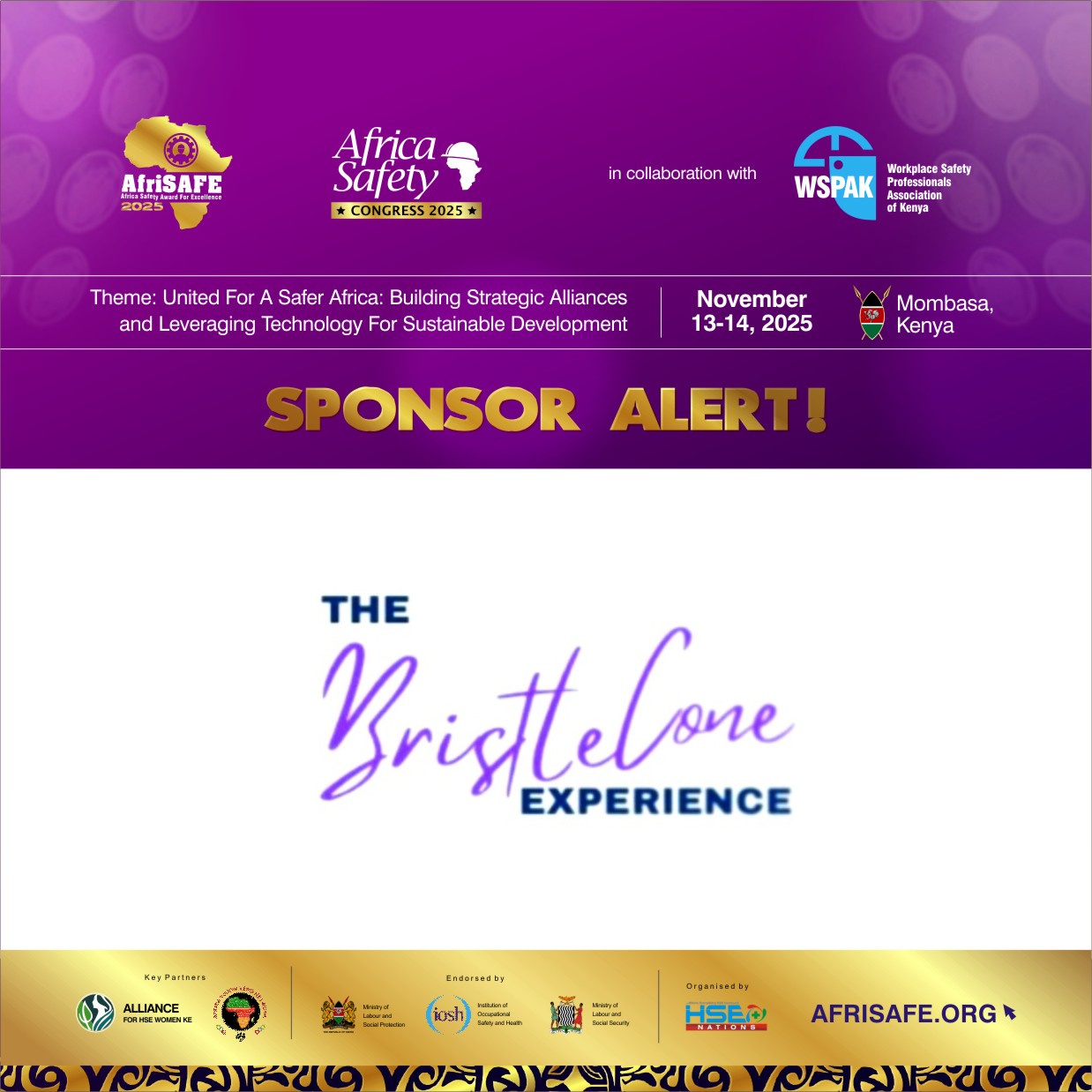 Unlocking Peak Performance: The Bristlecone Experience Joins AfriSAFE 2025 as Sponsor