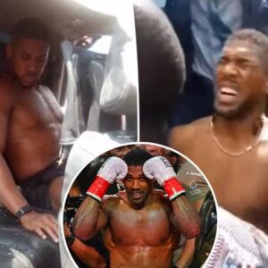 Fame on Fragile Roads: What the Anthony Joshua Incident Says About Road Safety
