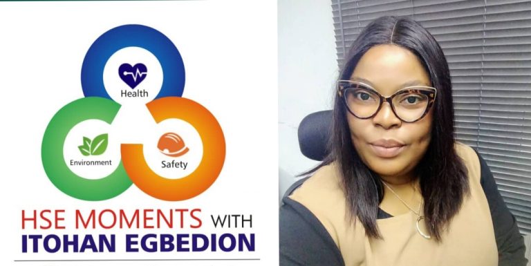 HSE Moments: VertAfrika Introduces Online Information Sharing Platform For Global Citizens