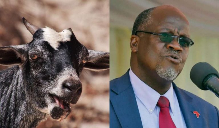 President Orders Probe On COVID-19 Testing Kits After Goat, Pawpaw Tested Positive