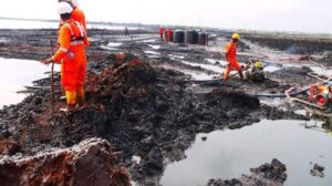 ogoni land clean up