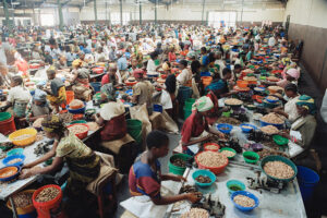 Safety Still Unpopular Among Tanzanian Workers – Practitioners