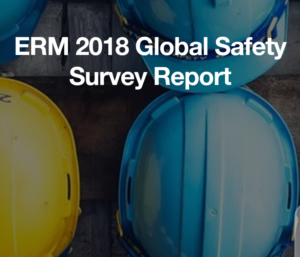 ERM Global Safety survey 2018,