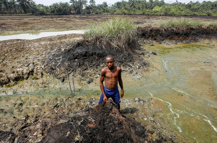 Niger Delta - environmental degradation