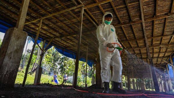 Pandemic in view as bird flu threatens to take over