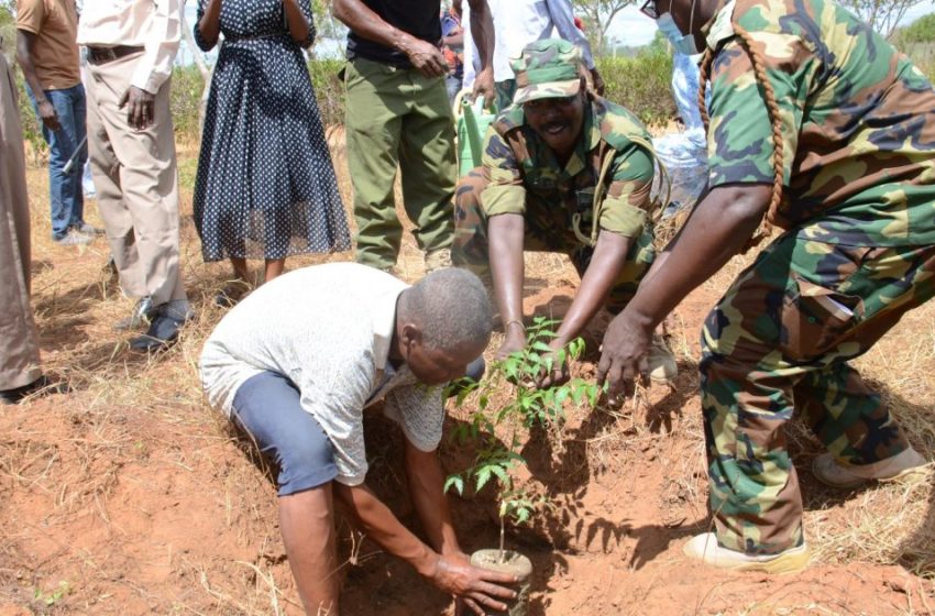 People in Garsen were warned not to burn charcoal.