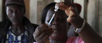 Counting the Cost: Disease Outbreaks in Africa and the Call for Solutions