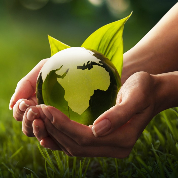 World Environment Day 2023: Nigeria and Africa Unite for Environmental Action