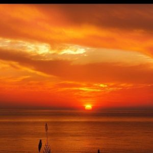 Earth reached it hottest peak in four days in a row