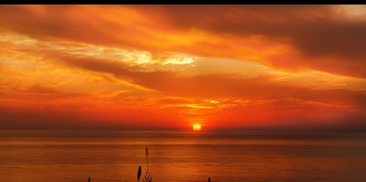 Earth reached it hottest peak in four days in a row