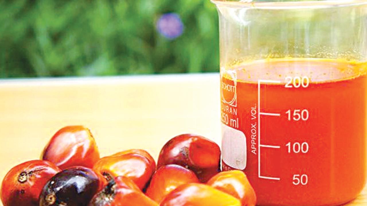 The Health Hazards of Excessive Palm Oil Consumption