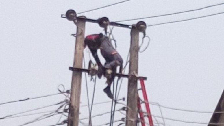 Tragic Electrocution Highlights Urgent Need for Safety Regulations in Solar Panel Installation