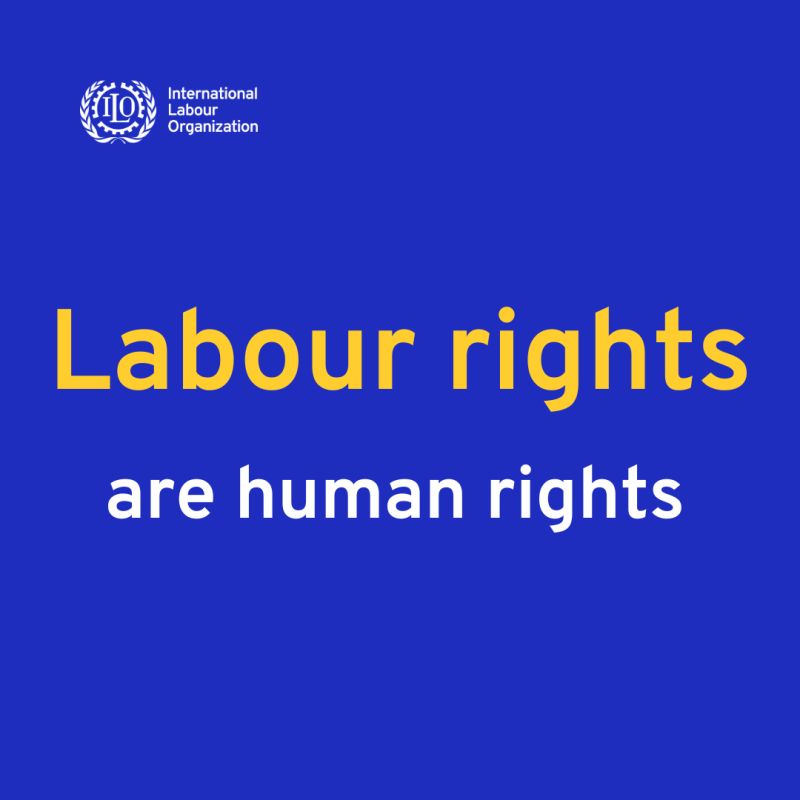 Human Rights and Labour Rights EP03: Balancing Flexibility and Protections – The Road to Decent Work