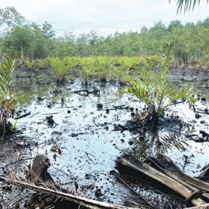 Niger Delta oil spill