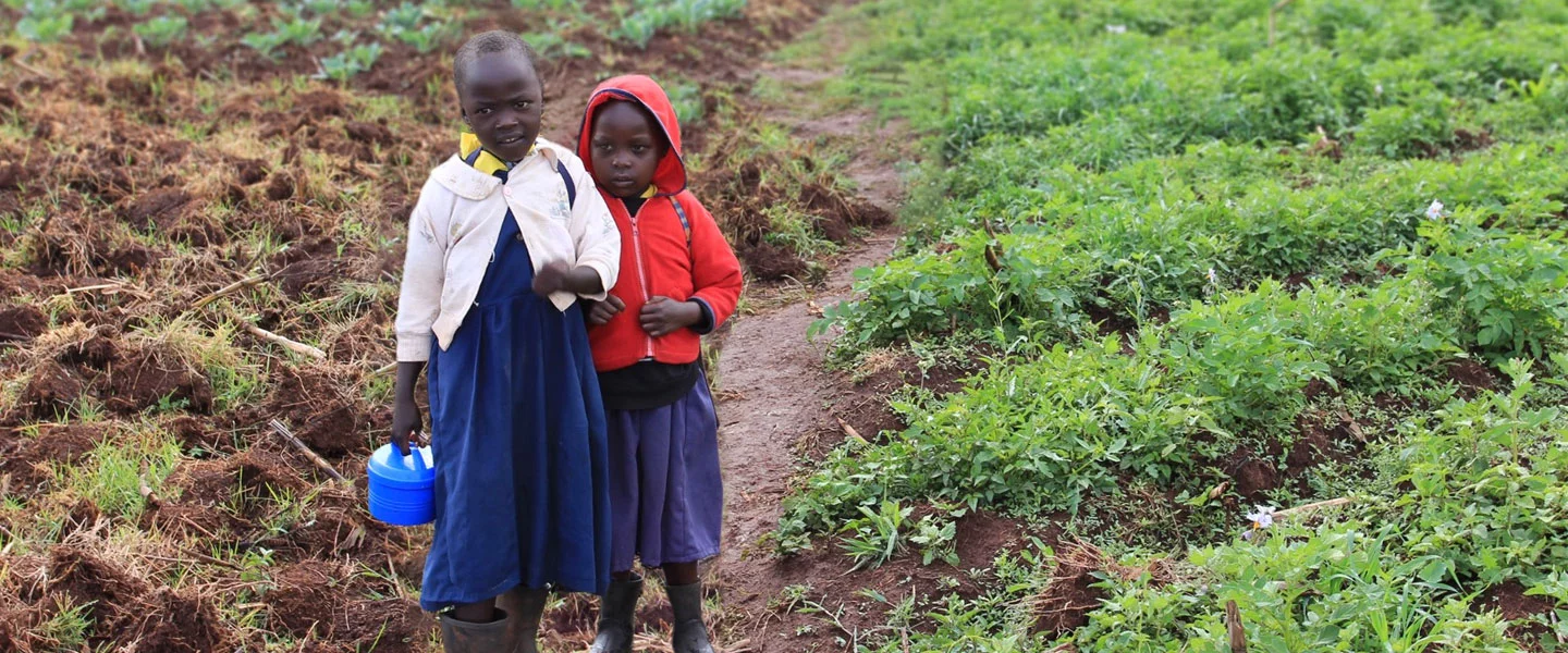 Enhancing Safety Measures: Putting Africa in Focus