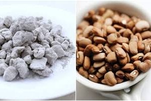 Potassium to Cook Beans: