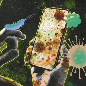 Phone Screen Germs You Can’t See