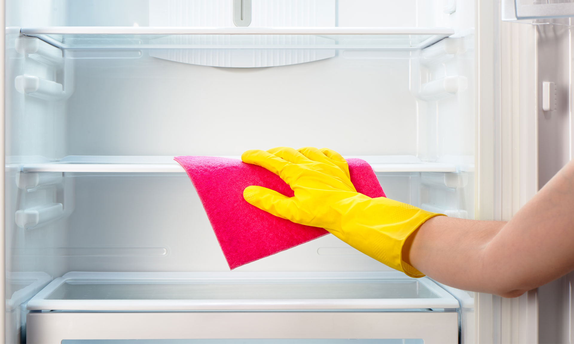 How Often Do You Clean Your Refrigerator: Does Germs Still Breed in the Cold? – What You Should Know