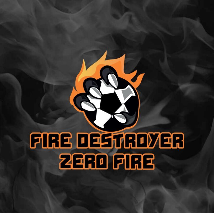 End Fire Worries: Fire Destroyer Guards Your Inverter, Saves Instantly